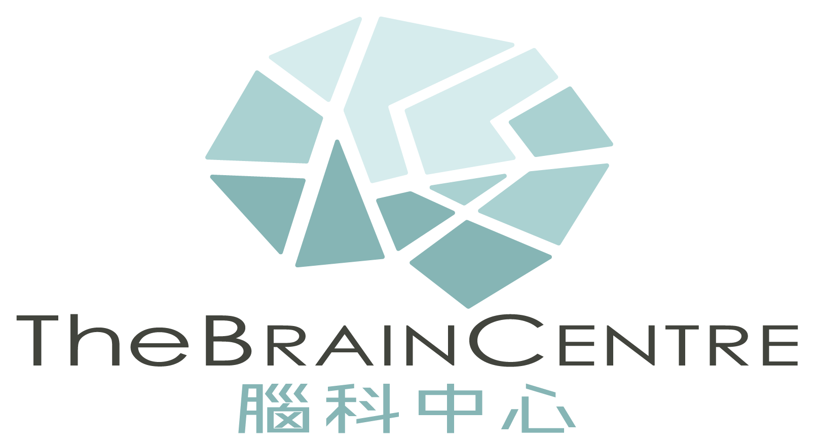 THE BRAIN CENTRE 腦科中心